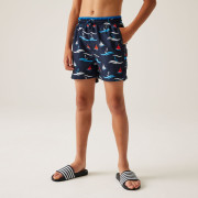 Dětské plavky Regatta Kids' Skander III Swim Shorts