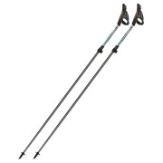 Nordic walking hole Fizan NW Carbon Pro Impulse
