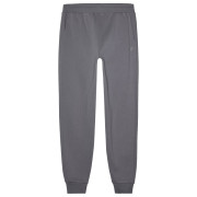 Pánské tepláky 4F Trousers M0943