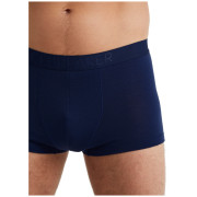 Pánské boxerky Icebreaker M Anatomica Cool-Lite Trunks