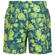 Pánské kraťasy Regatta Loras Swim Short m