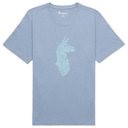 Pánské triko Cotopaxi Into the Pines T-Shirt