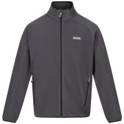 Pánská mikina Regatta Hadfield