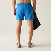 Pánské plavky Regatta Mawson Swim Shorts III