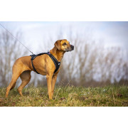 Vodítko na psa Curli Ultra Strong Pocket Leash