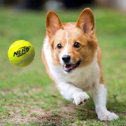 Hračka pro psa Nerf Dog Blaster + Tennis Balls 3 pcs