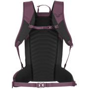 Dámský batoh Dynafit Ridge 24 Backpack W