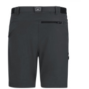 Pánské kraťasy Regatta Anti-Insect Travel Light Shorts