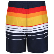 Pánské kraťasy Regatta Loras Swim Short m