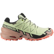 Dámské boty Salomon Speedcross 6 Gore-Tex