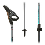 Nordic walking hole Fizan NW Carbon Pro Impulse