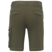 Pánské kraťasy Regatta Bendrick Shorts