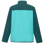 Dětská funkční mikina Regatta Junior Frankie Warm Fleece Mediterranea/Turquoise