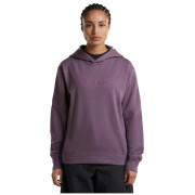 Dámská funkční mikina Icebreaker W Mer 360 RealFleece Elemental LS Hood