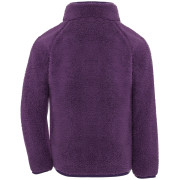 Dětská mikina Didriksons Gibbs Kids Fullzip 2 Northen Purple