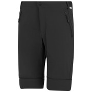 Pánské kraťasy Regatta Mountain Z/O Trousers