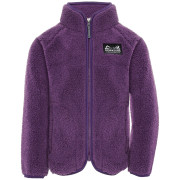 Dětská mikina Didriksons Gibbs Kids Fullzip 2 Northen Purple