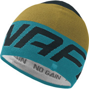 Čepice Dynafit Radical Beanie