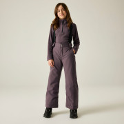 Dětské zimní kalhoty Dare 2b Outmove III Insulated Pant Huckleberry