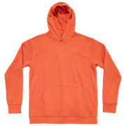 Pánská mikina Devold Everyday Hoodie Man