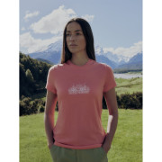 Dámské funkční triko Icebreaker Women Merino 150 Tech Lite III SS Tee IB Grown Naturally