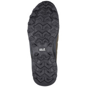 Pánské boty Jack Wolfskin Refugio Texapore Low M