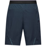 Pánské kraťasy Salewa Pedroc 4 Dst Cargo Short M