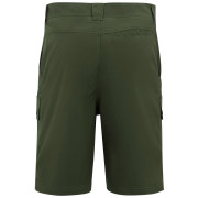 Pánské kraťasy Regatta Arlery Shorts