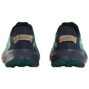 Pánské boty The North Face M Altamesa 300 V2