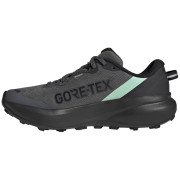 Dámské běžecké boty Adidas Terrex Tracefinder Plus Gtx