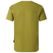 Dětské triko Dare 2b Amuse III Tee Goldn Cypress