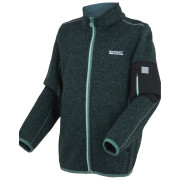 Dětská mikina Regatta Junior Newhill