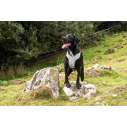 Postroj pro psa Mountain Paws Reflective Dog Harness