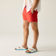 Pánské plavky Regatta Mawson Swim Shorts III