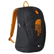 Batoh The North Face Y Mini Recon