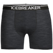 Pánské boxerky Icebreaker Mens Anatomica Boxers-jet HTHR