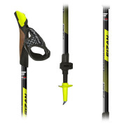 Nordic walking hole Fizan R-Evolution