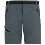 Pánské kraťasy Regatta Xert Stretch Shorts