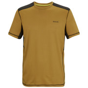 Pánské triko Regatta Virda