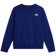 Pánská mikina The North Face M Evolution Box Nse Regular Crew