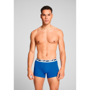 Pánské boxerky Puma Everyday Multi Logo Boxers 2P