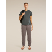 Dámské funkční triko Icebreaker Merino Blend Core SS Tee Panax