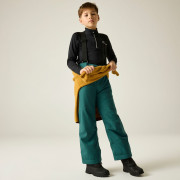 Dětské lyžařské kalhoty Dare 2b Outmove III Insulated Pant Mediterranea