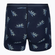 Pánské funkční boxerky Icebreaker Men M 150 Anatomica Boxers BearTourAOP