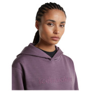 Dámská funkční mikina Icebreaker W Mer 360 RealFleece Elemental LS Hood