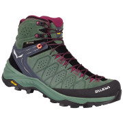 Dámské boty Salewa Ws Alp Trainer 2 Mid Gtx