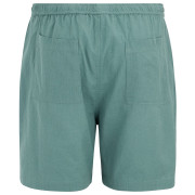 Pánské kraťasy Regatta Hadlin Shorts