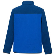 Dětská funkční mikina Regatta Junior Frankie Warm Fleece Aviator Blue