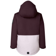 Dětská bunda Dare 2b Wing It Jacket Hucklbr/PkHz