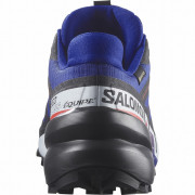 Pánské boty Salomon Speedcross 6 Gore-Tex Equipe